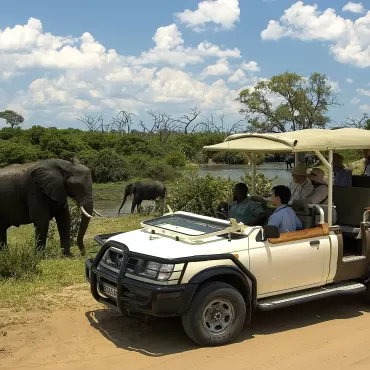 Wild Horizons Chobe Day Trip 9