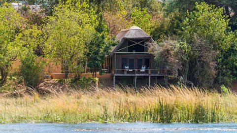 royalzambezi 01