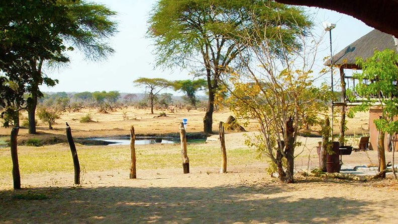 senyatisafari 02